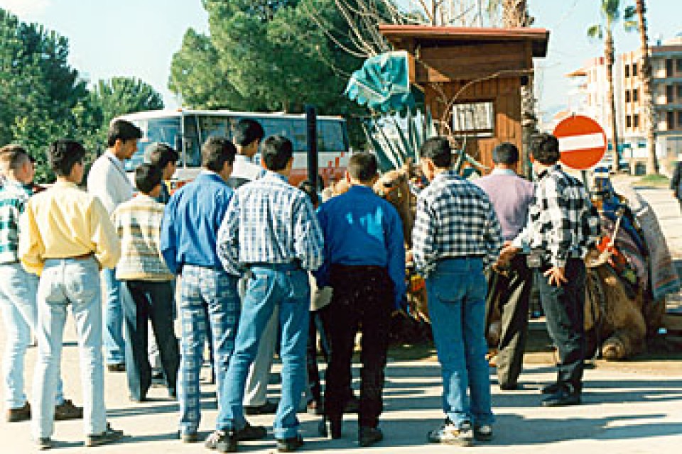 turkki.jpg